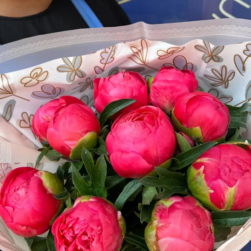 Coral Sunset Peony Bouquet 10 Stems