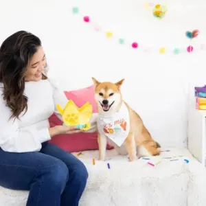 Pearhead Happy Barkday Medium / Large Bandana & Hat Set