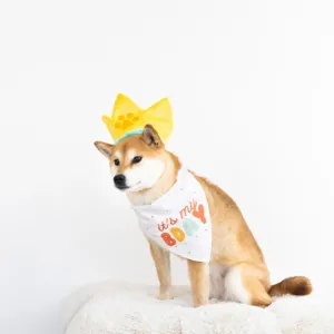 Pearhead Happy Barkday Medium / Large Bandana & Hat Set