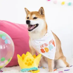 Pearhead Happy Barkday Medium / Large Bandana & Hat Set