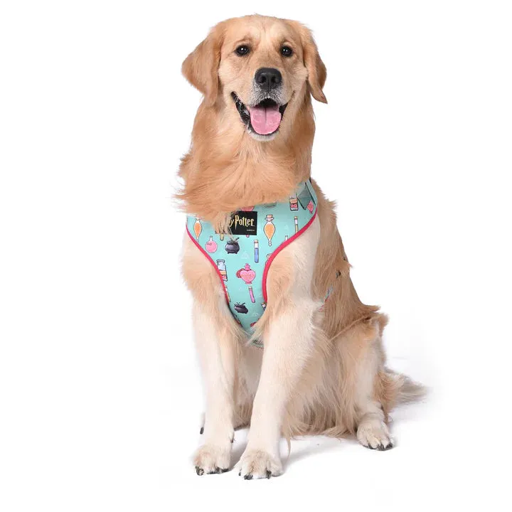 Potions in Motions Dog Harness